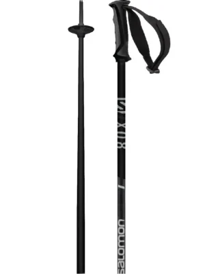 Akční Cena hole Salomon X 08 black