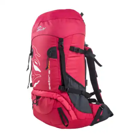 Omezená Nabídka Doldy Zebra 38l červená