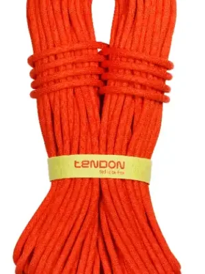 Originální Tendon Master 9,4 Complete shield 60m