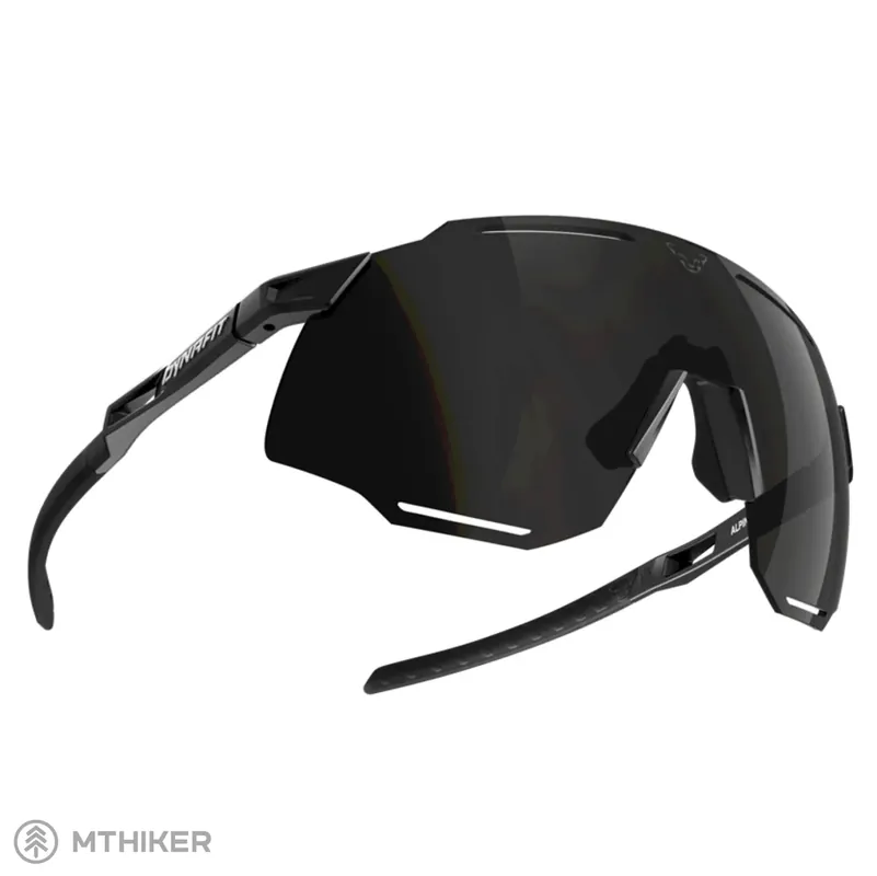 Dynafit Alpine brýle, black out/nimbus Must-Have