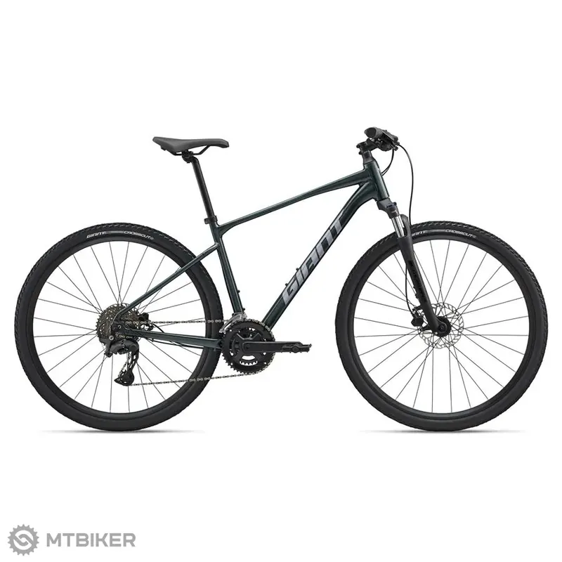 Nejlepší Volba Giant Roam 2 28 kolo, asphalt green