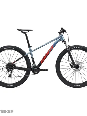 Giant Talon 3 29 kolo, frost silver Finální Výprodej