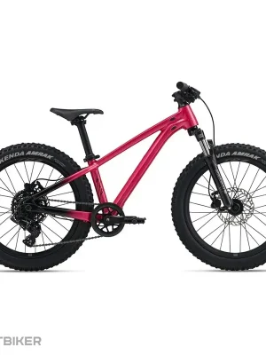 Tovární Cena Liv STP 20 FS dětské kolo, hot pink