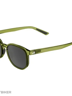 Jen Po Omezenou Doba ALPINA DIMONT brýle, green transparent gloss/black