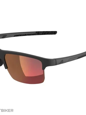 Akční Nabídka ALPINA EAGLE Q-LITE brýle, black matt/mirror red