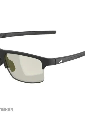 Akční Cena ALPINA EAGLE Q-LITE brýle, black matt/yellow