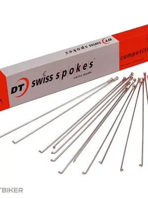 Ihned K Objednání DT Swiss Champion špic 234-304 mm, stříbrná
