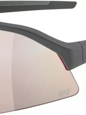 Objednat Nyní ALPINA SONIC HR QV brýle, midnight grey