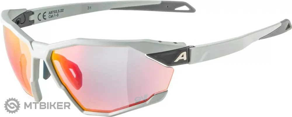 Expresní Doručení ALPINA TWIST SIX QV brýle, kouřová šedá