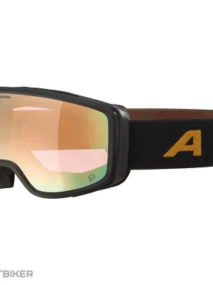 Poslední Šance ALPINA BIVIO Q brýle, black/gold matt