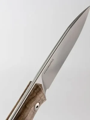 Levný Lionsteel Nůž typu bushcraft s pevnou čepelí z ocele Sleipner B35 WN