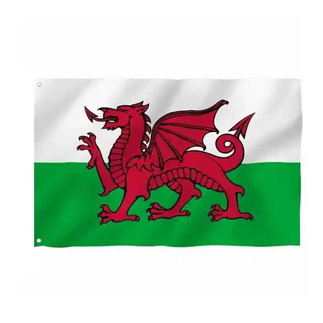 Vlajka WARAGOD Wales 150x90 cm Nejprodávanější