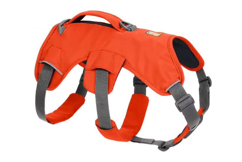 Postroje Ruffwear Web Master, blaze orange Přímo Od Výrobce