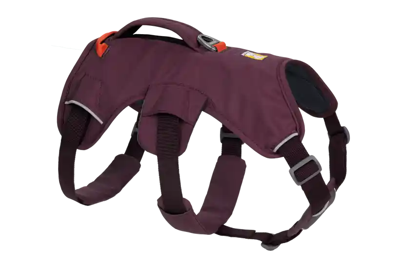 Oblíbený Postroje Ruffwear Web Master, purple rain
