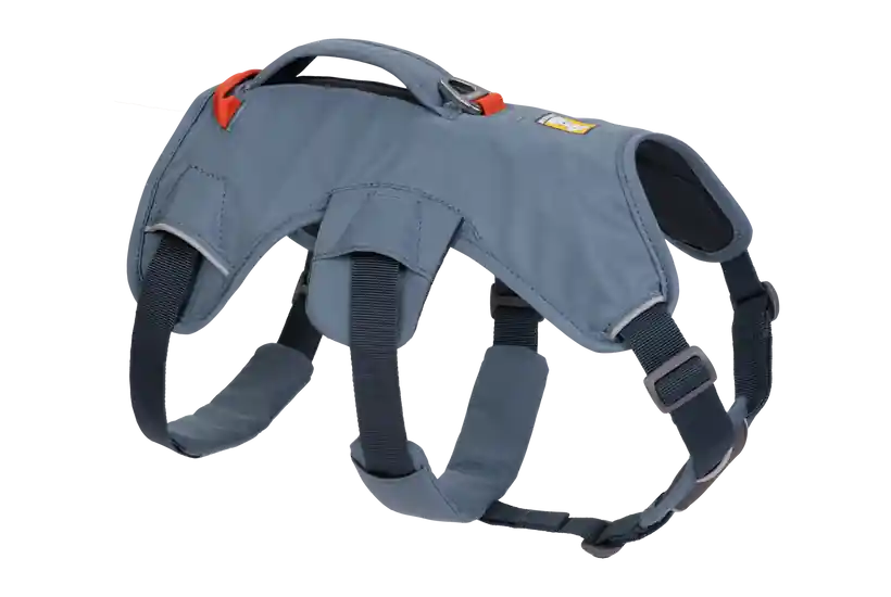 Sezónní Sleva Postroje Ruffwear Web Master, state blue