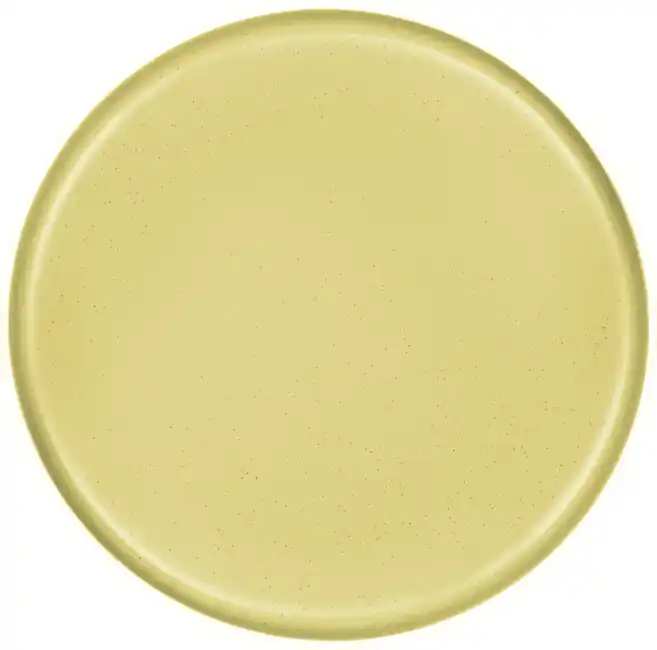 Must-Have Kempinkový talíř Brunner, žlutý