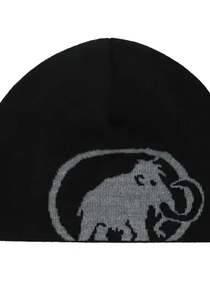 Nakupujte Hned čepice MAMMUT TWEAK Beanie Black-Steel