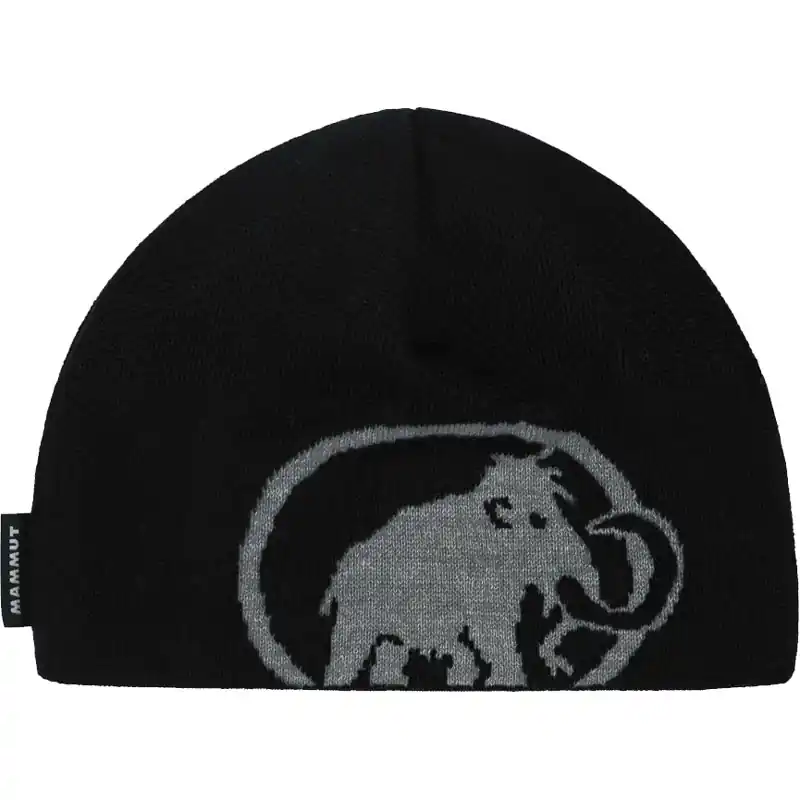 Nakupujte Hned čepice MAMMUT TWEAK Beanie Black-Steel