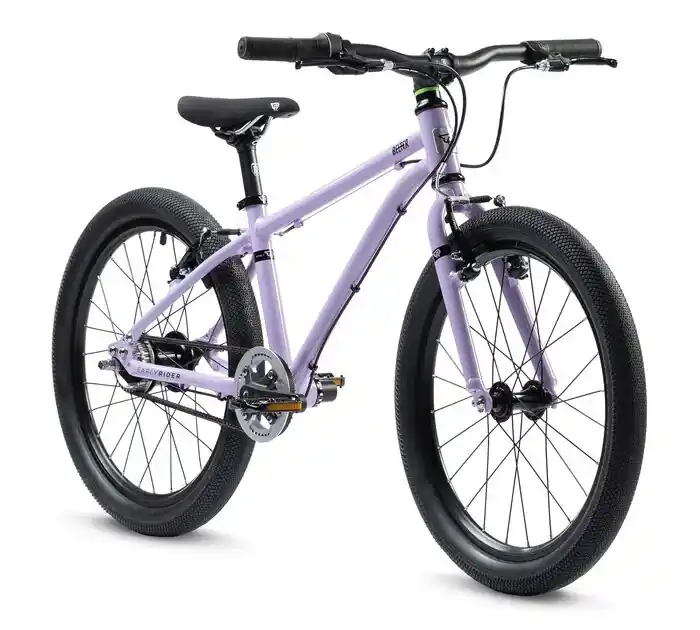 Cenový Hit Early Rider Bike Belter 20 20" fialová